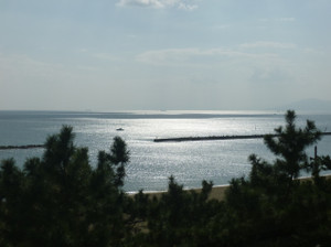 P1010299_9 P1010299_9