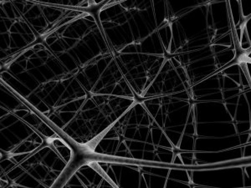 Networkneurons_21043923